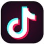 TikTok Logo