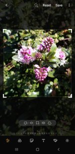 Cropping