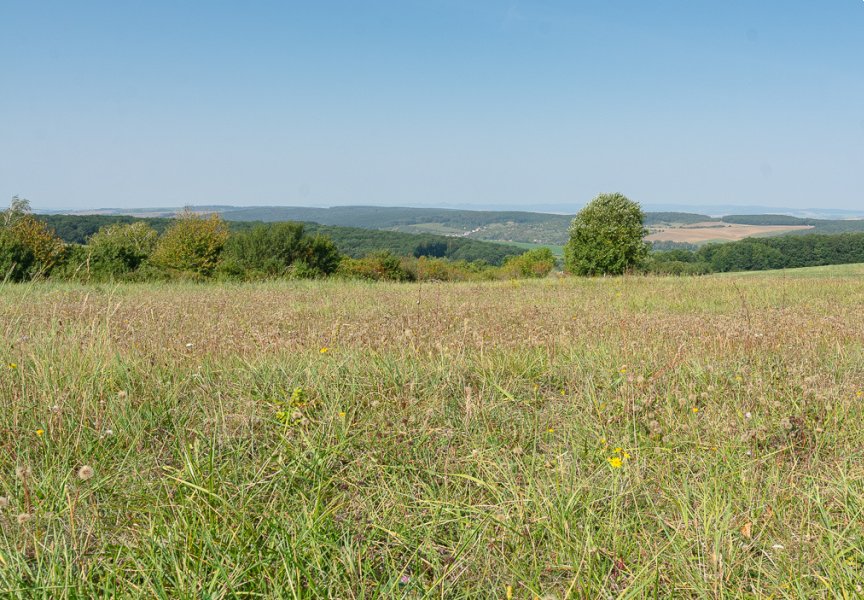 Middle of Day Landscape