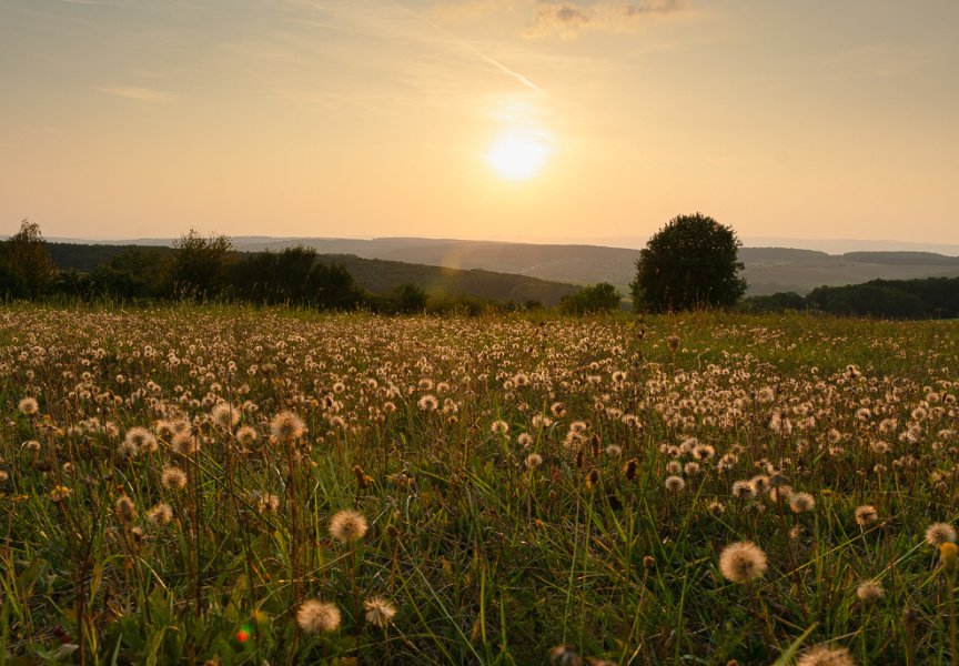 Start of Day Landscape